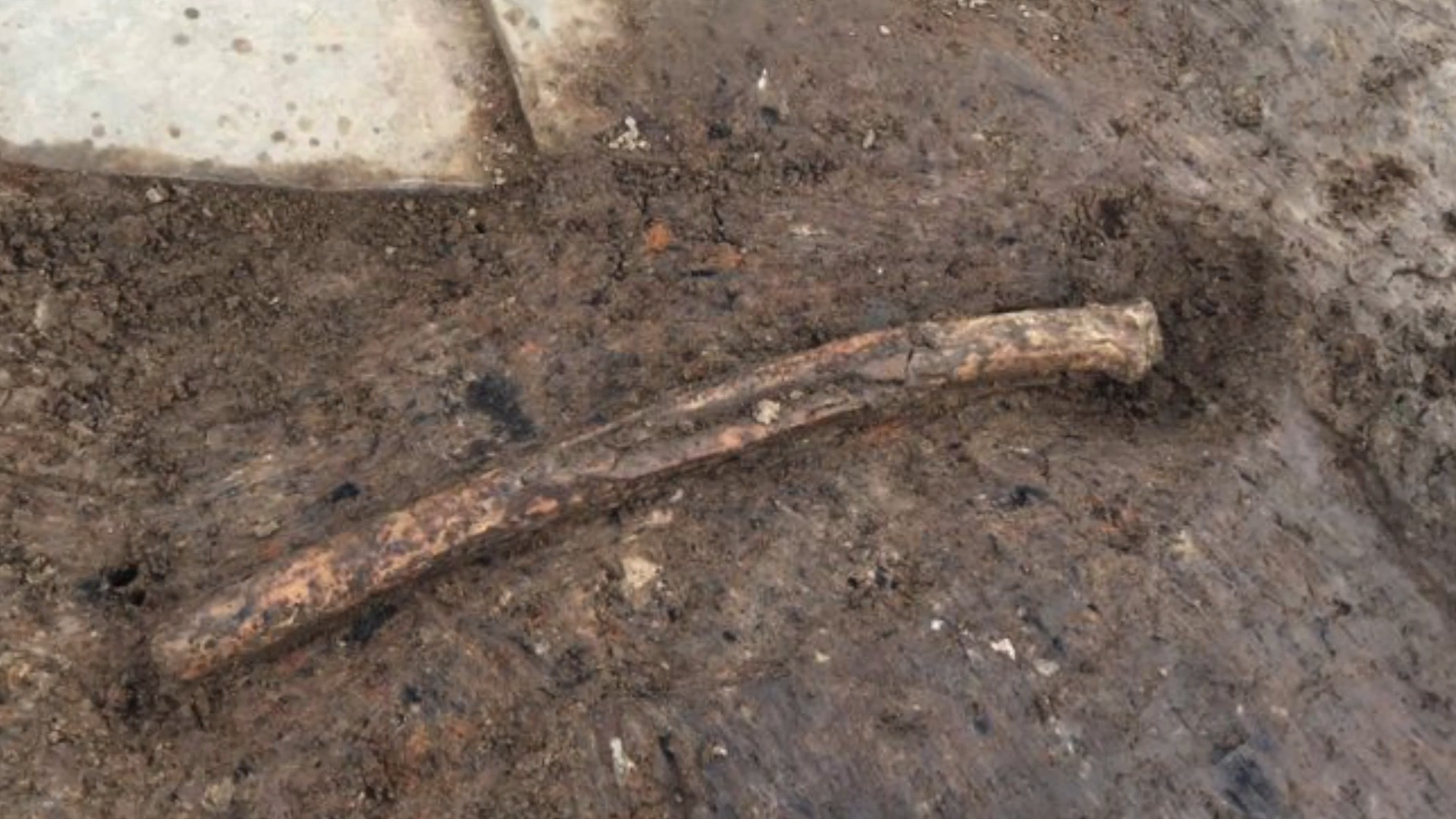 5,000-Year-Old Human Bone Found Beneath Ness of Brodgar Temple