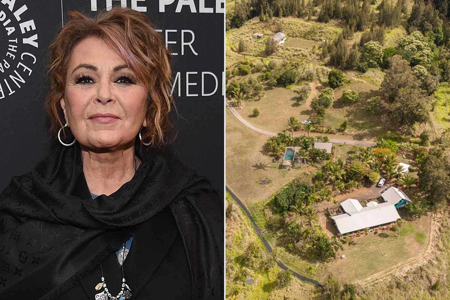 Roseanne Barr Sells Her 46-Acre Macadamia Nut Farm in Hawaii for $2.6M, image size:1500x1000