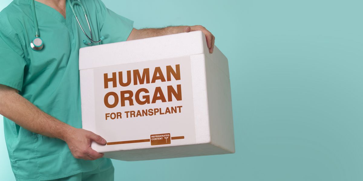 Scientists Changed the Blood Type of a Kidney