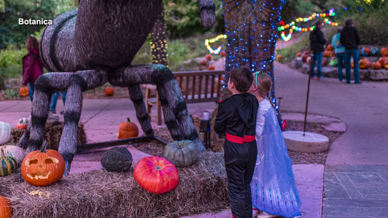 Halloween fun begins as Bootanica returns this weekend to Botanica