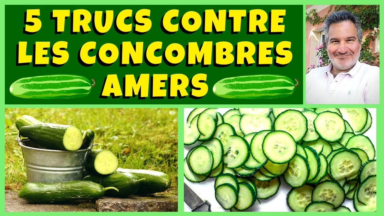 Concombres au potager : 5 astuces pour dire adieu à l’amertume