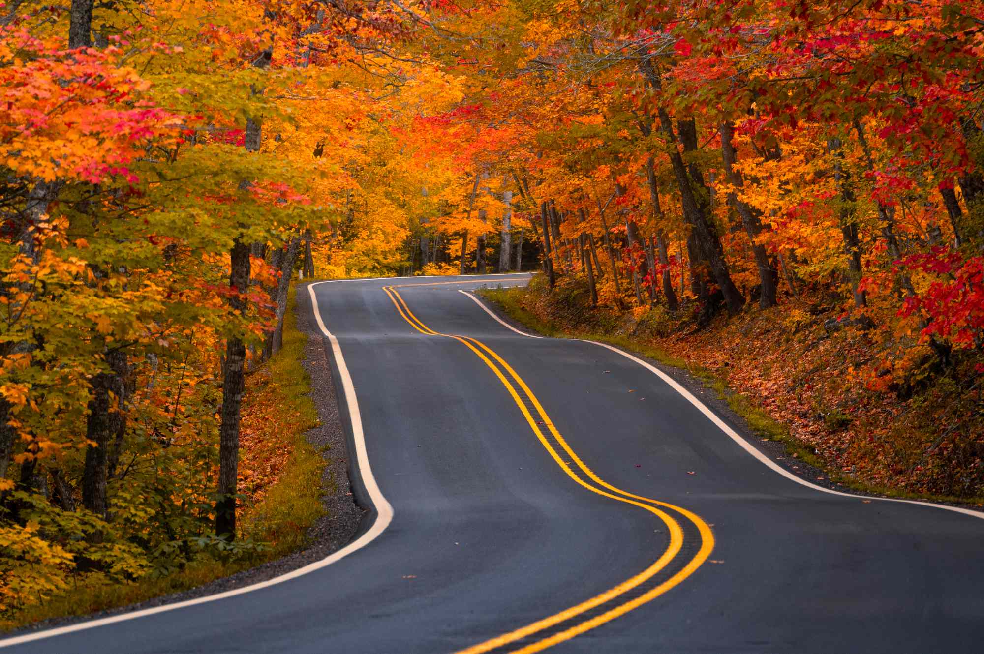This Midwestern State Has Some of the Best Fall Foliage in the U.S ...