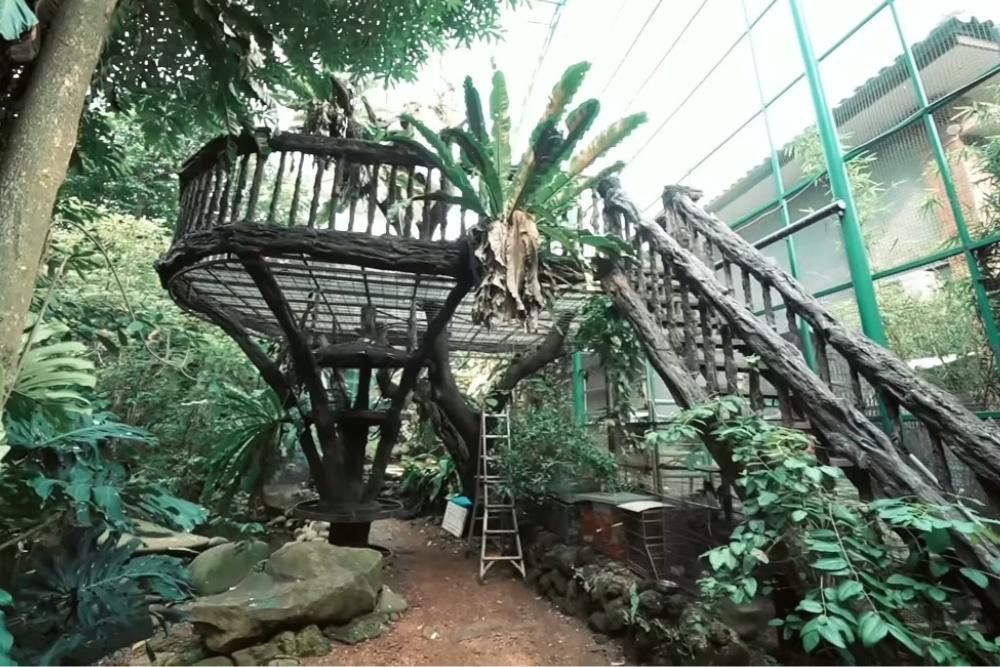 11 Potret Rumah Irfan Hakim, Punya Pendopo Hingga Aviary 1