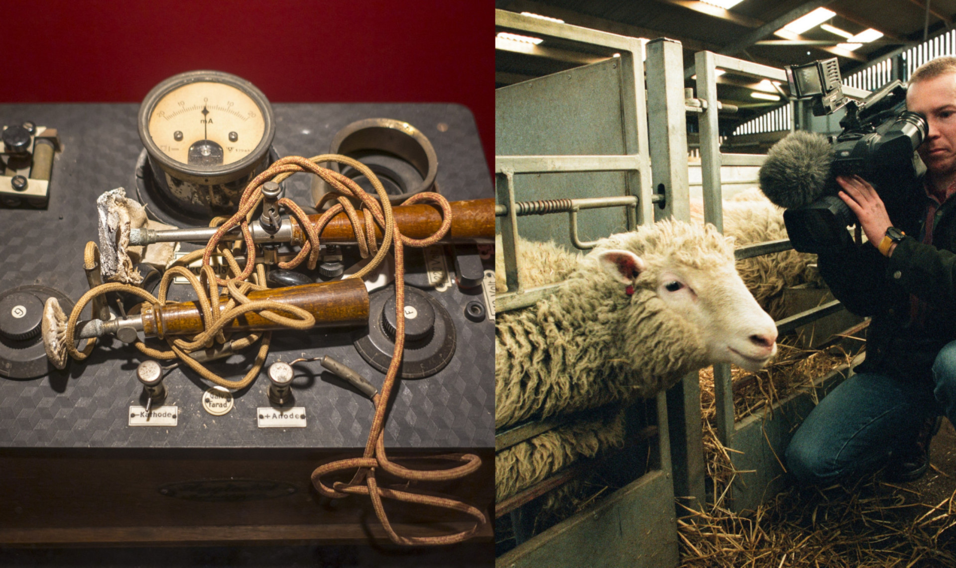 History's most notorious scientific experiments