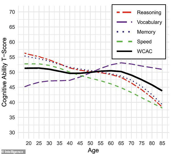 Scientists reveal the age at which your brain reaches its peak - so ...