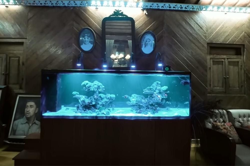 11 Potret Rumah Irfan Hakim, Punya Pendopo Hingga Aviary 9