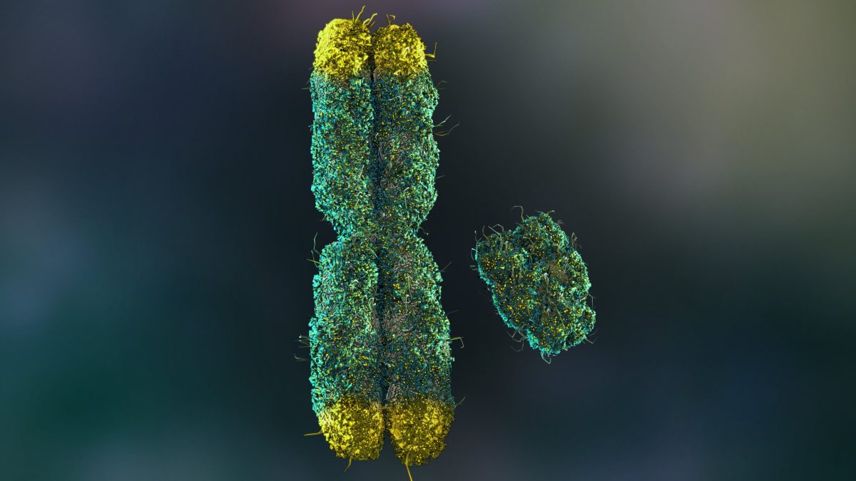 Men are losing their Y chromosomes – and it’s accelerating the ageing process