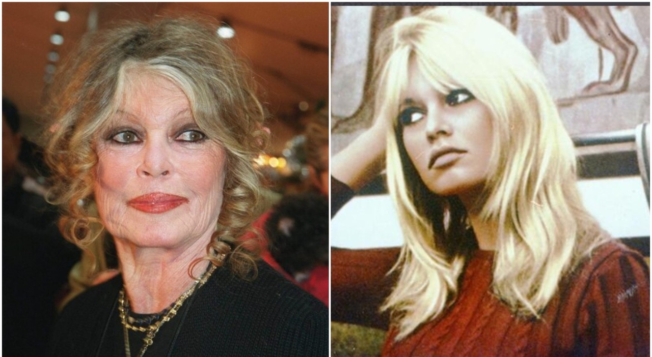 Brigitte Bardot operata per una grave malattia, condizioni «preoccupanti»:  la celebre attrice è ricoverata