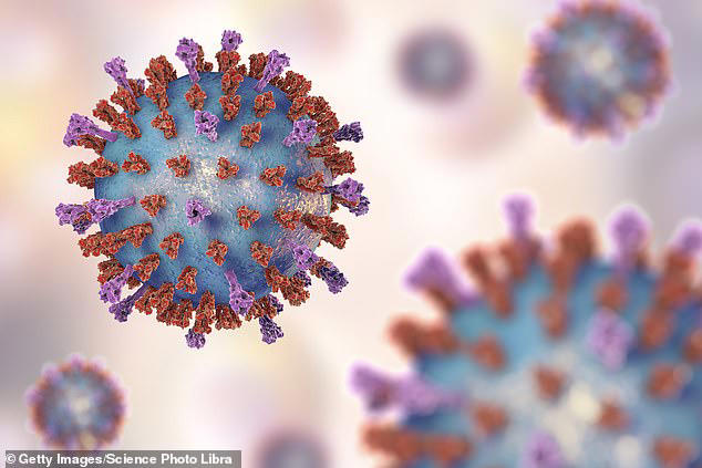 The connection between the immune system and our mental health is a really exciting frontier