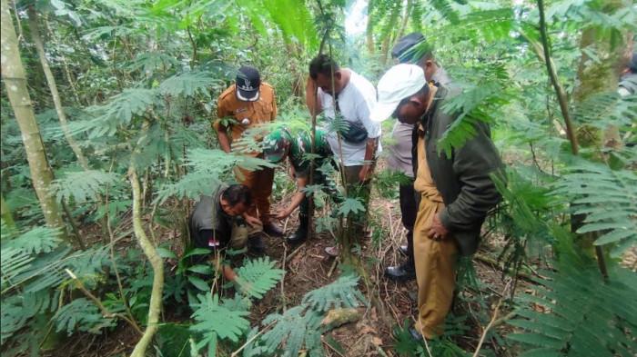 Harimau Sumatera Masuk Kantor BRIN, Warga Diminta Tidak Berkebun Sementara