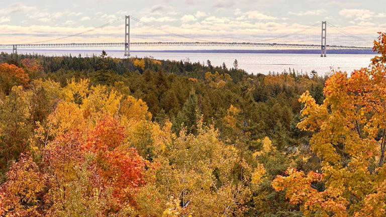 Fall foliage forecast: Oct. 16, 2025