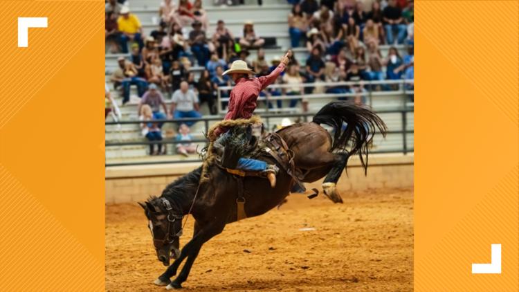 St. Augustine to welcome first professional rodeo in November