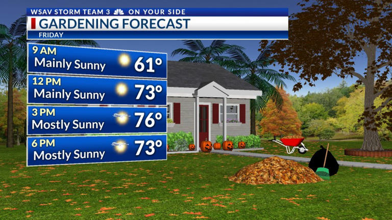 Storm Team 3: Chilly nights, warm afternoons ahead into the weekend