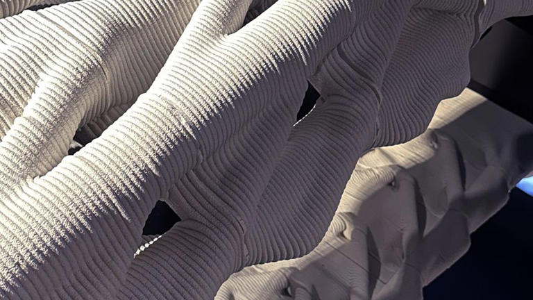 This 3D-printed, carbon-absorbing bridge is inspired by bones
