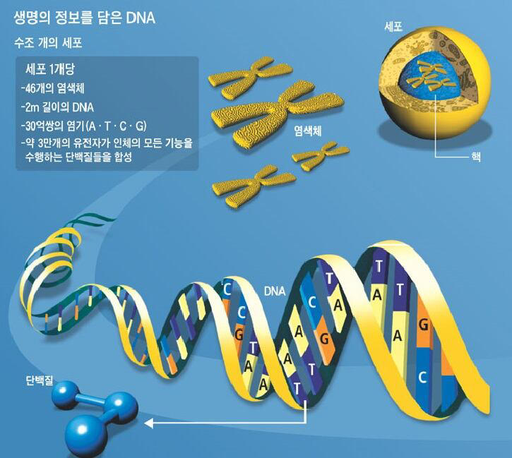 ‘DNA 이중나선 구조’ 발견한 美과학자 왓슨, 97세로 별세