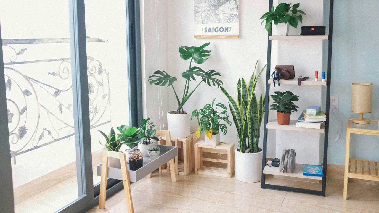 Greenery