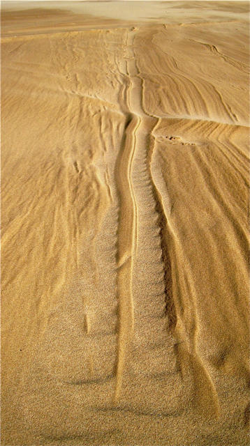 How Sand Dunes Walk Across The Desert - Scientists Explain