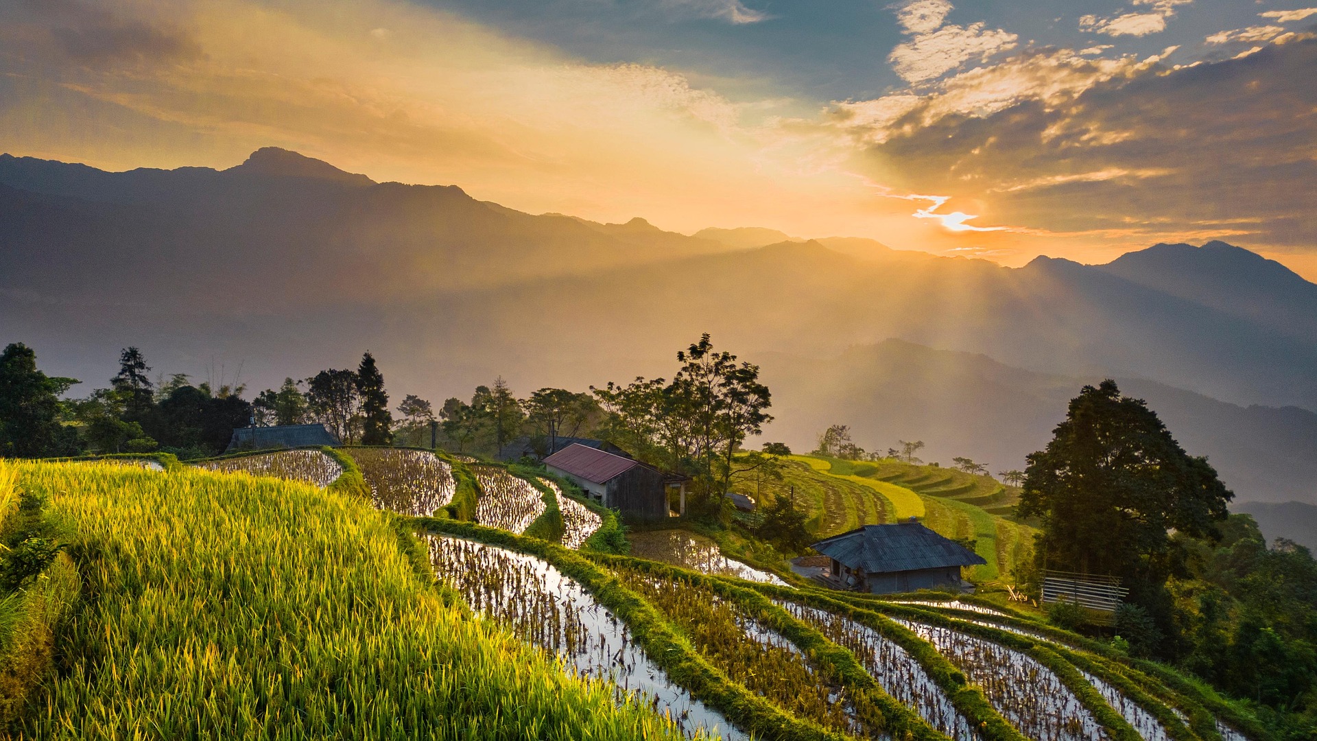 7 Things You Can Learn From Nature About Problem Solving