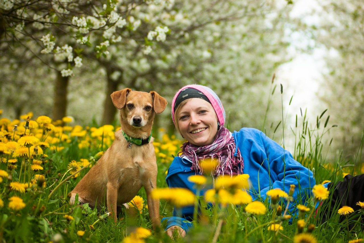 A Woman in a Flower Field with a Dog