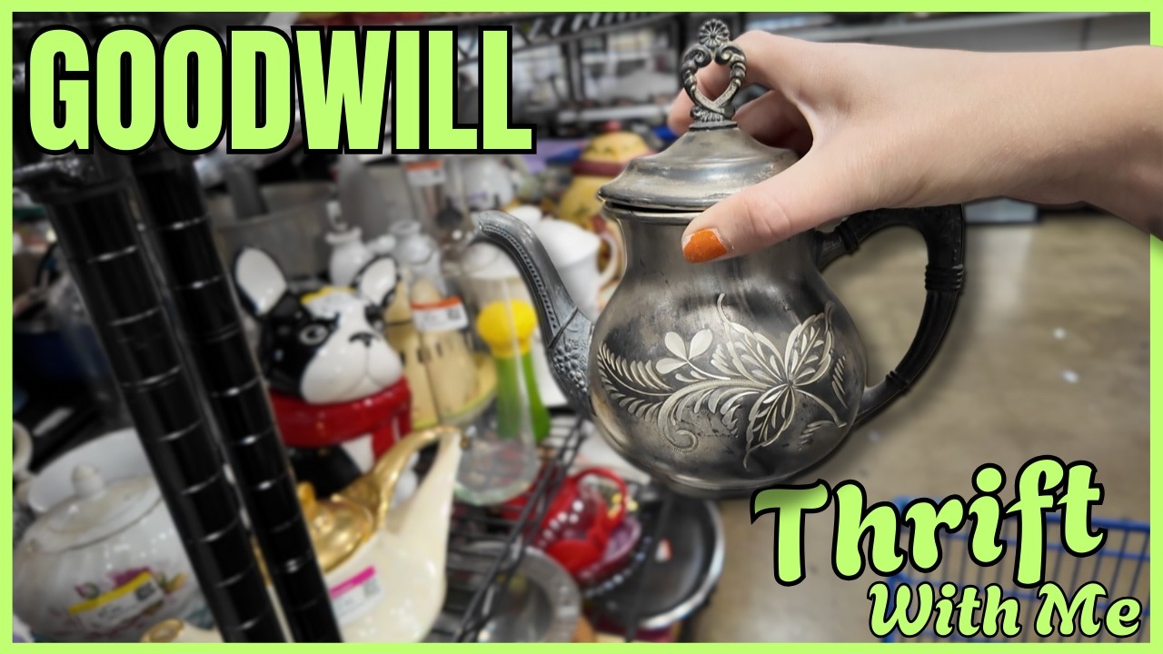 How did I get so lucky at Goodwill haul