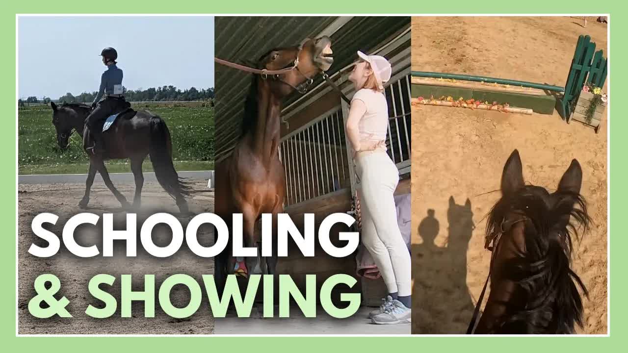 Riding Vlog - First Time Schooling & Showing with Java