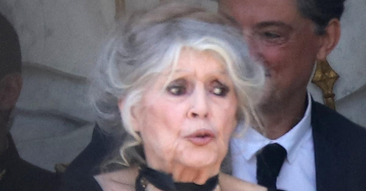 Brigitte Bardot, 91, Hospitalized With 'Serious Illness' in France