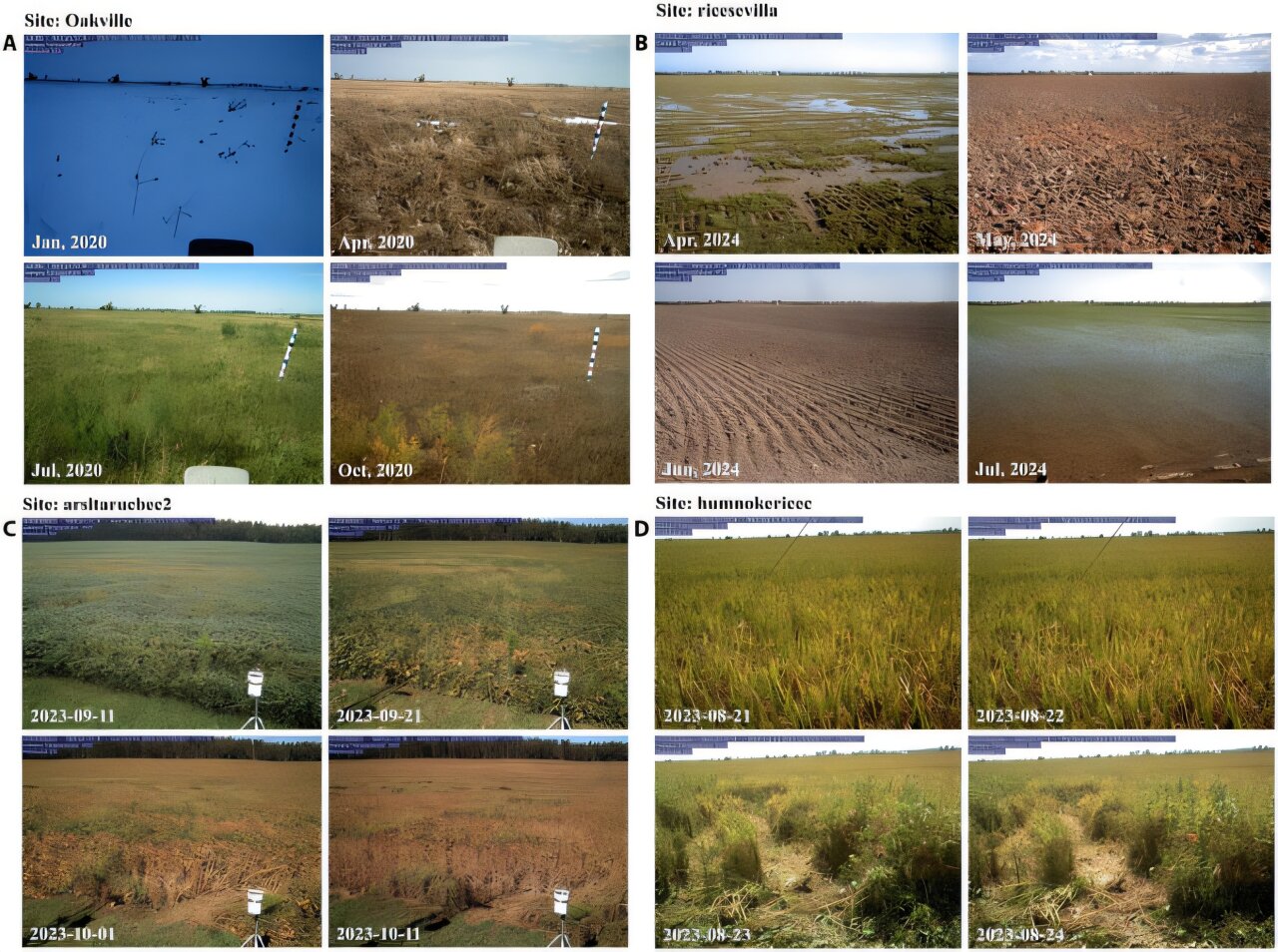 AI-driven mapping captures daily global land changes