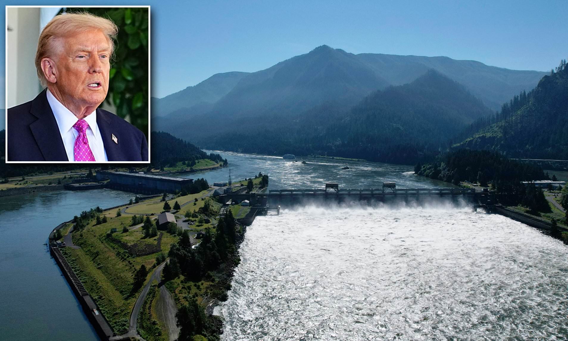 Columbia River's most iconic animal now on verge of becoming EXTINCT