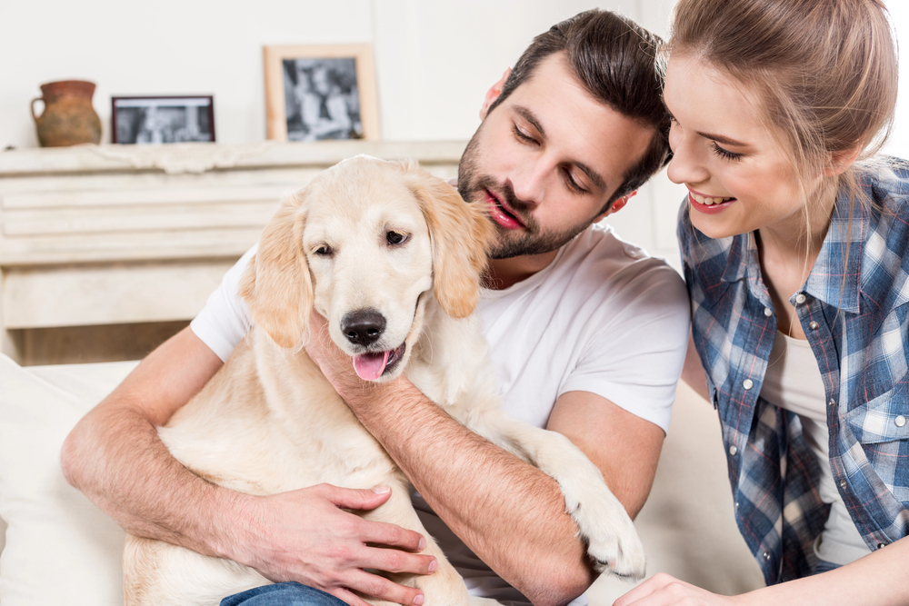 How Pets Shape Daily Life After Kids and Careers