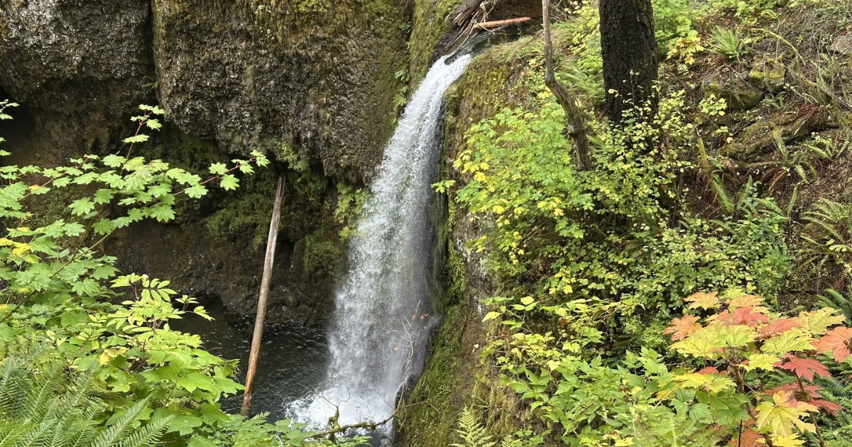 Waterfall Lovers Will Adore This Trail in Oregon's Columbia River Gorge