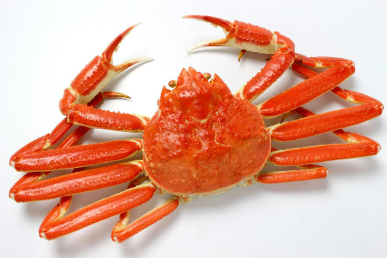 What's the difference between snow crab and king crab?