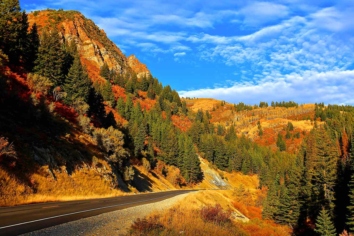 After Getting Lost on a Hike, Dad, 31, 'Bravely' Protected His 3 Young