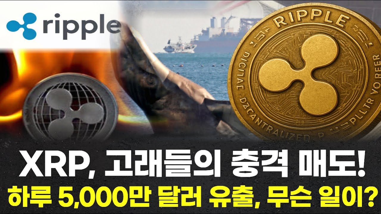 XRP, 고래들의 충격 매도! 하루 5,000만 달러 유출, 무슨 일이?