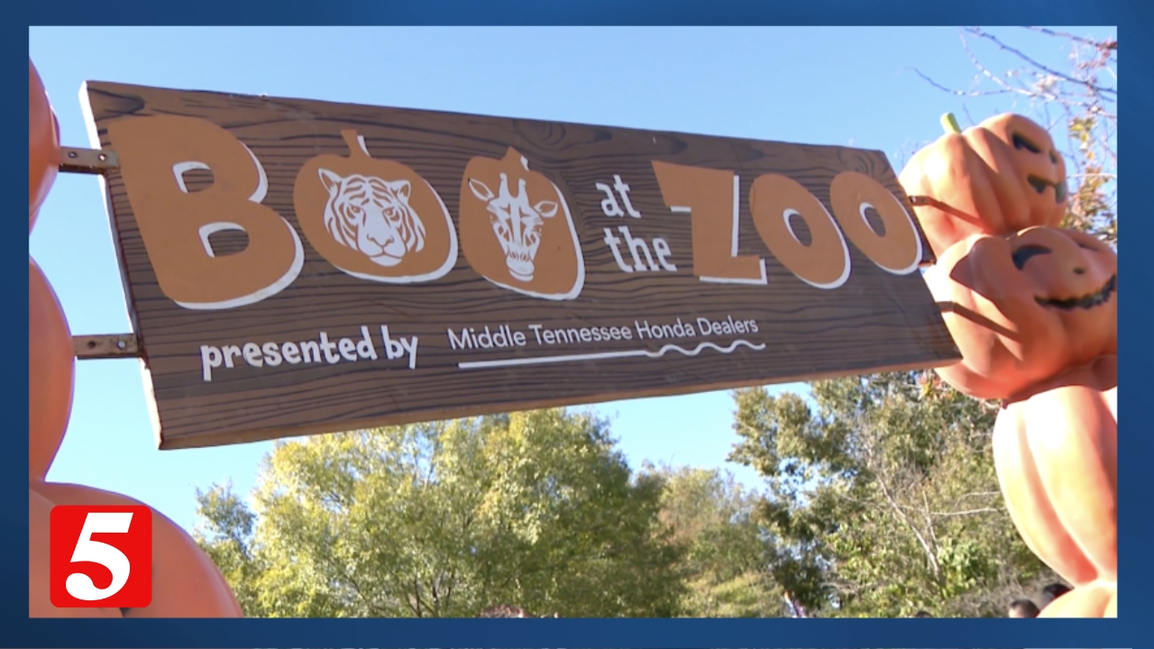 Boo at the Zoo kicks off Friday at Nashville Zoo