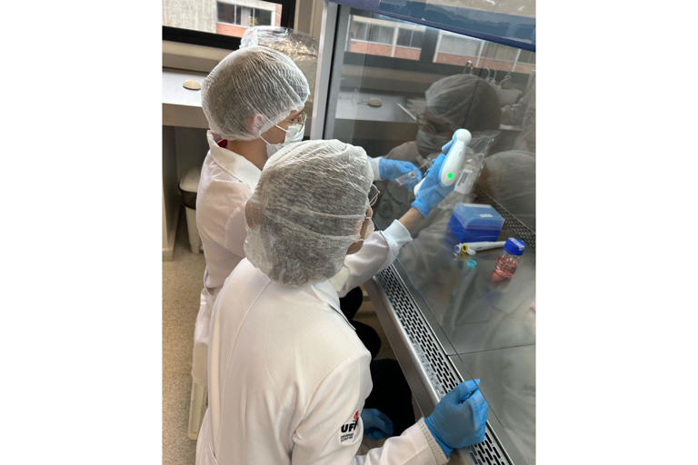 Metodologia de produção de colágeno não é nova, mas nunca antes tinha sido estudada em jumentos