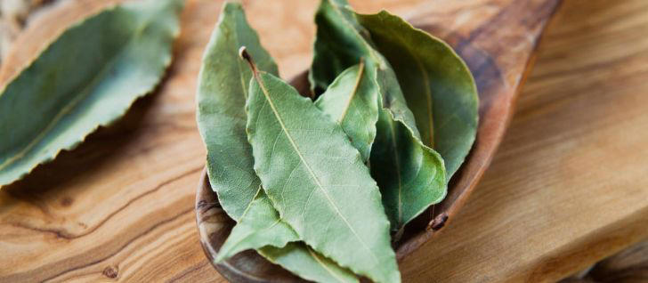 Mezclar hojas de laurel con vinagre: para qué sirve y por qué lo recomiendan