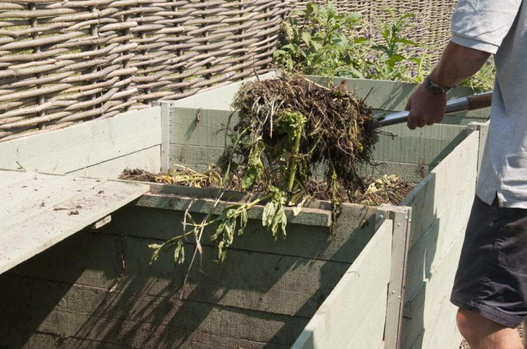 How to save your soil after the dry summer, according to an RHS expert