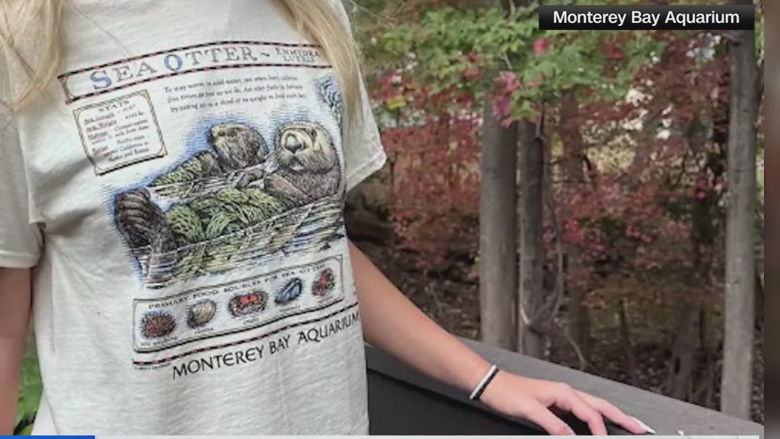 taylor-swift-s-influence-boosts-sea-otter-conservation