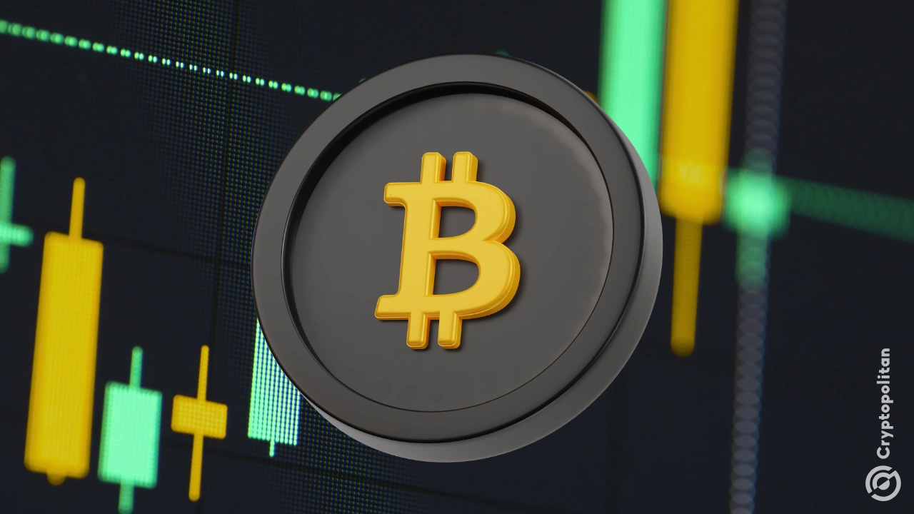 Crypto traders revert to Bitcoin’s 4-year cycle amid price drop