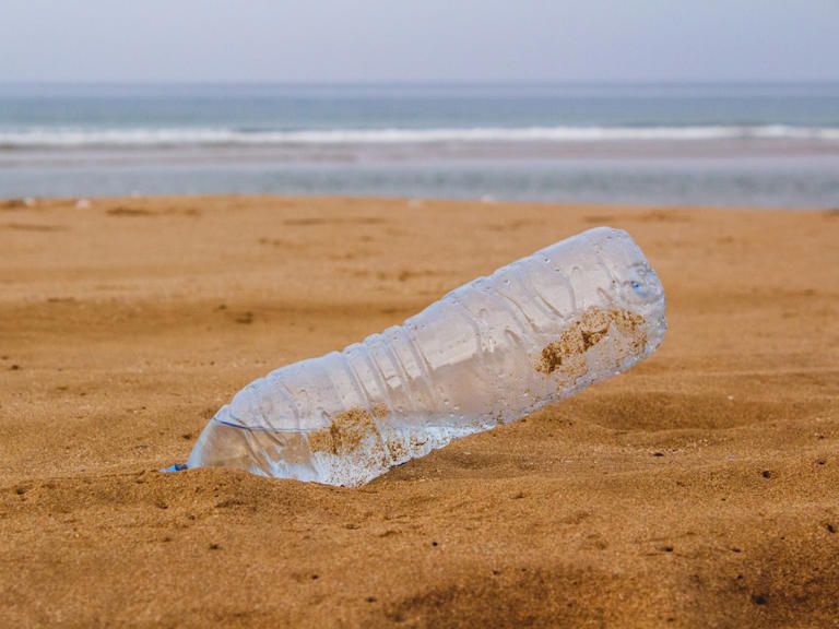 10 New Materials Aiming to Replace Plastic, Researchers Reveal