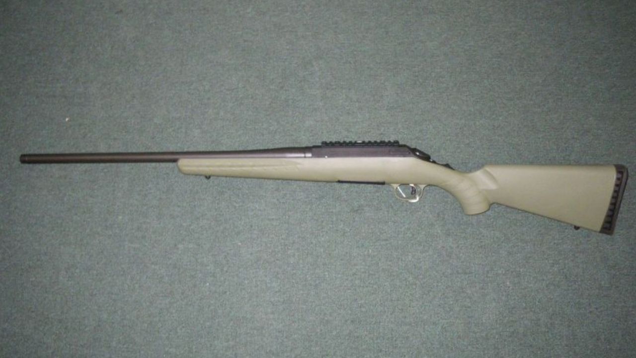 The best rifles for coyote hunting