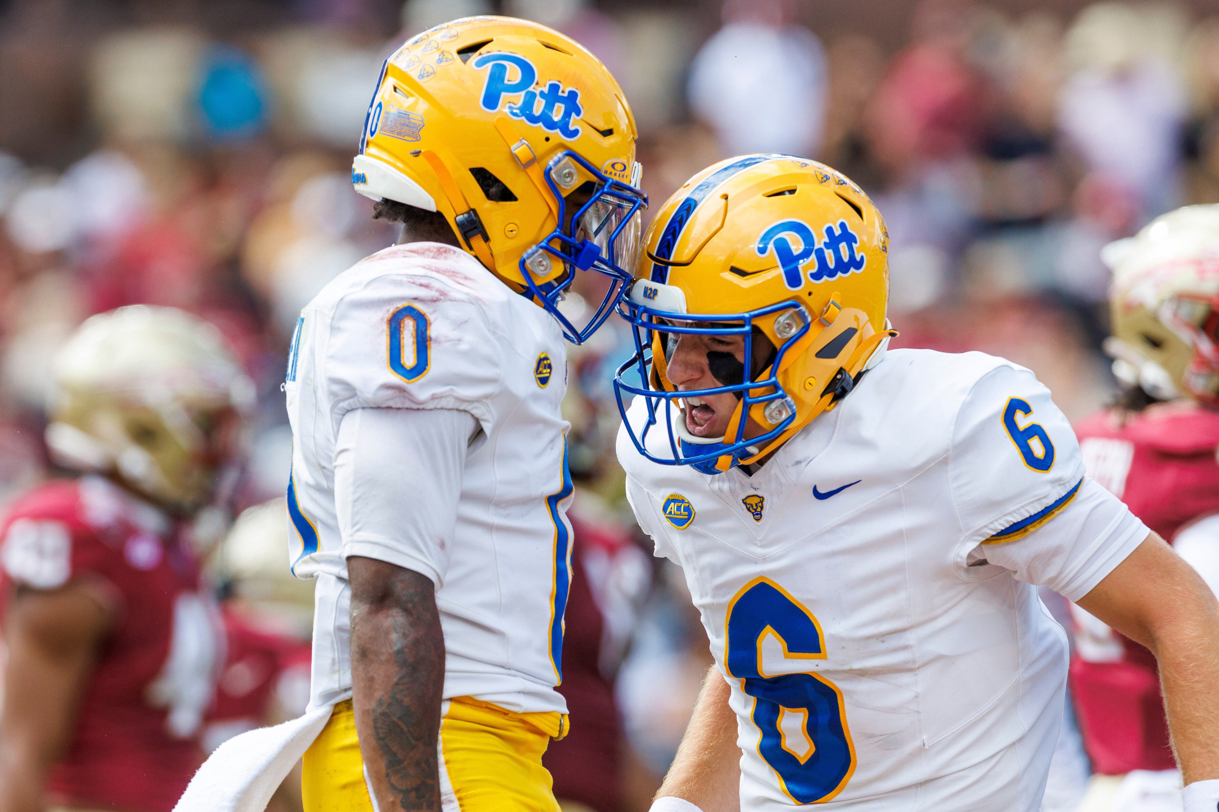 Pitt appears on AP Top 25 poll for first time all season