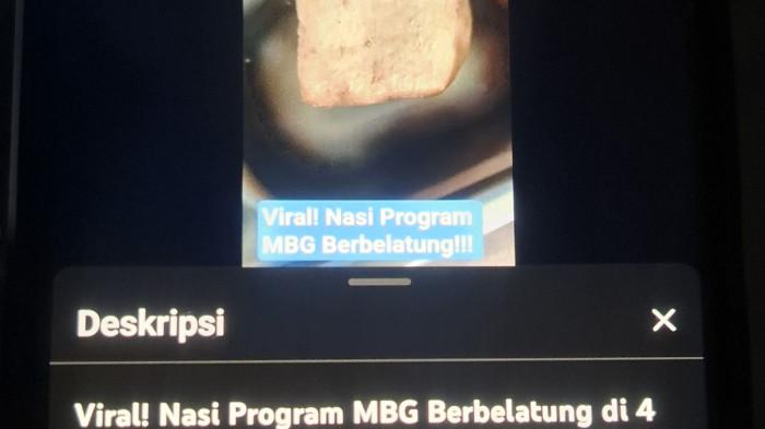 Viral, Tahu MBG Berisi Belatung di SD Wonosobo, Dinkes Buka Suara dan Ungkap Fakta