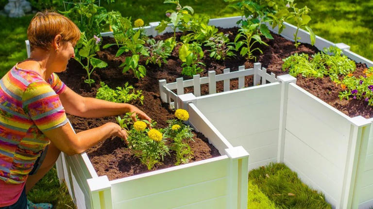 Is Costco's Top-Rated Composting Garden Bed Right For You? Here's What ...