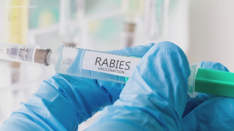 Man injured while feeding rabies-positive feral cat in Chesapeake