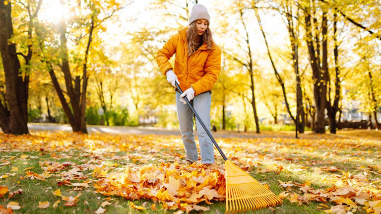 13 Tips On How To Winterize Perennials – For Decades Of Flowers