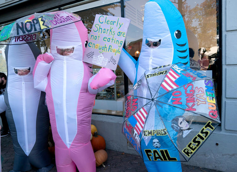 No Kings costumes that marked the day in metro Detroit: Unicorns, bees ...