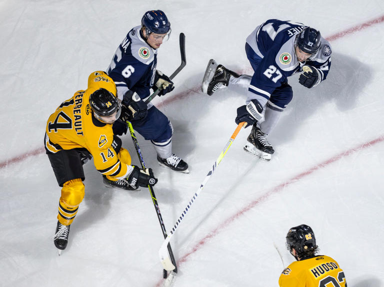 ECHL union delivers strike notice. What does it mean for the Worcester ...