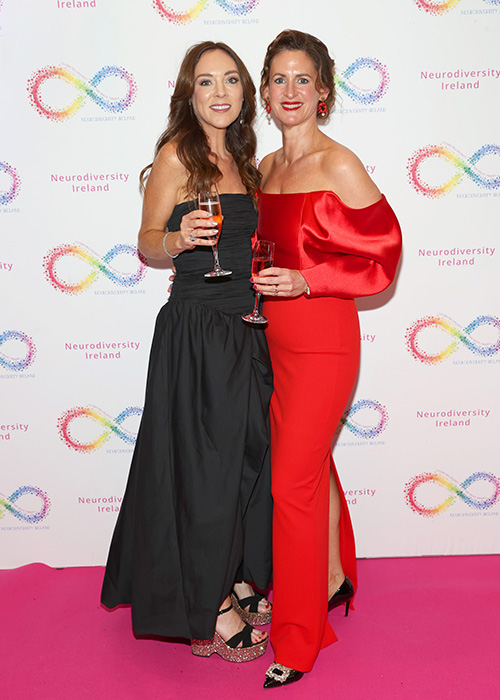 Amy Huberman leads the way in glitzy gown at this year's Infinity Ball