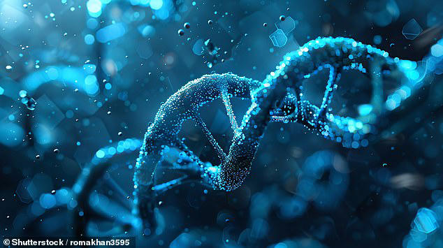 DNA forms part of a 'unique, sophisticated and coordinated coding system' that points to the existence of an 'intelligent designer'